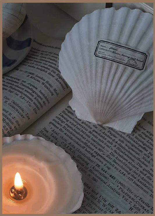 Custom-designed Premium Shell-Shaped Scented Candle Gift Set